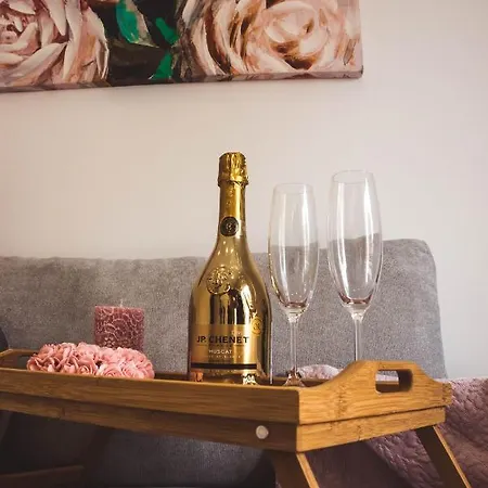 Vuckovic Apartment *